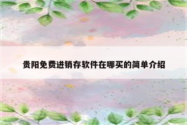 贵阳免费进销存软件在哪买的简单介绍