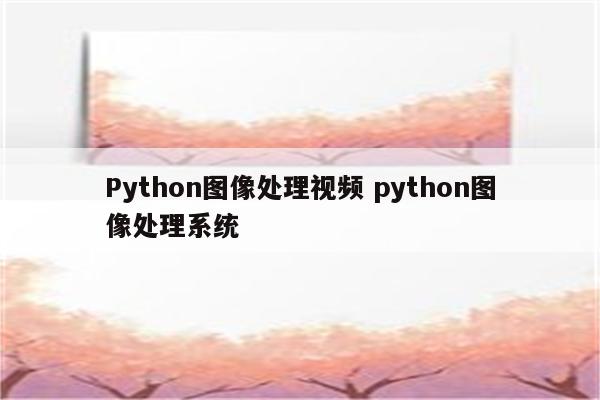 Python图像处理视频 python图像处理系统