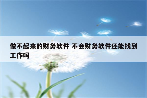 做不起来的财务软件 不会财务软件还能找到工作吗