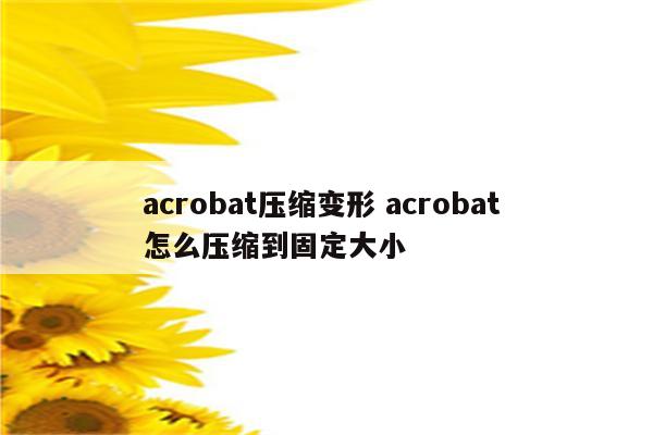 acrobat压缩变形 acrobat 怎么压缩到固定大小