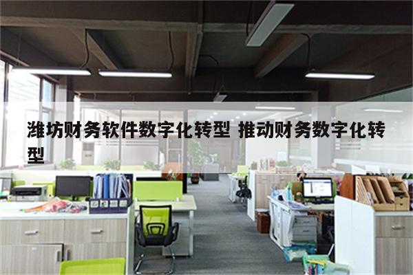 潍坊财务软件数字化转型 推动财务数字化转型