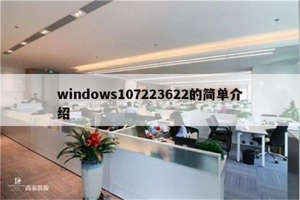 windows107223622的简单介绍