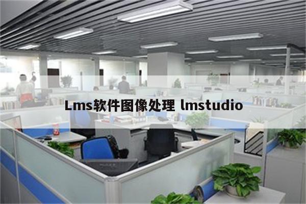 Lms软件图像处理 lmstudio