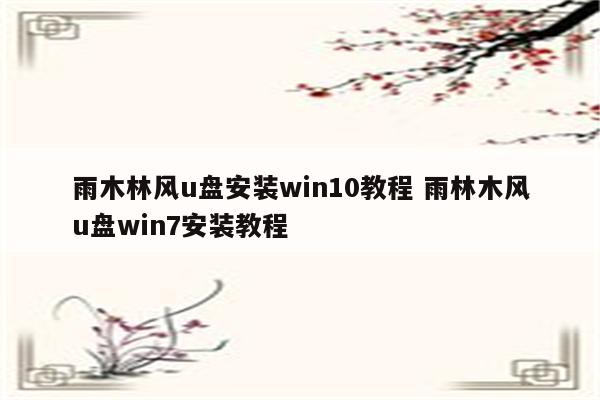 雨木林风u盘安装win10教程 雨林木风u盘win7安装教程