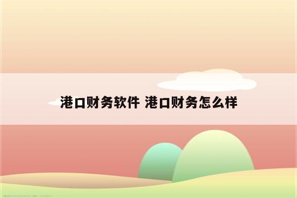 港口财务软件 港口财务怎么样
