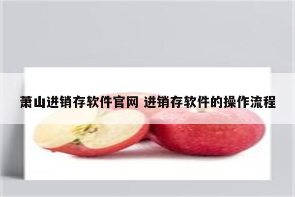 萧山进销存软件官网 进销存软件的操作流程