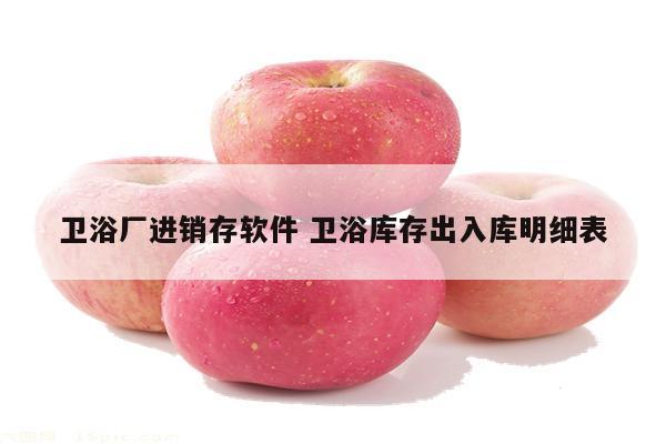 卫浴厂进销存软件 卫浴库存出入库明细表