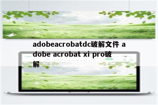 adobeacrobatdc破解文件 adobe acrobat xi pro破解