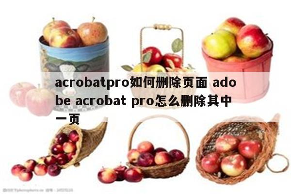 acrobatpro如何删除页面 adobe acrobat pro怎么删除其中一页