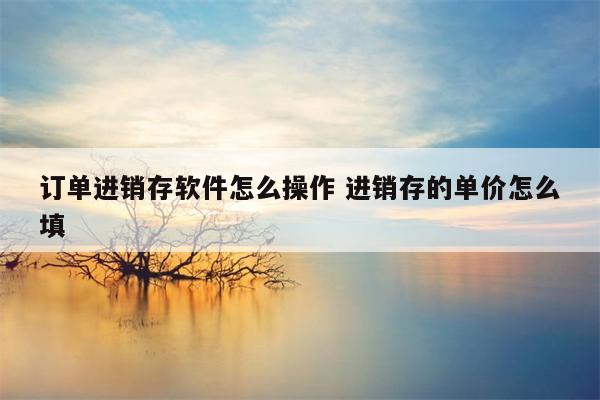 订单进销存软件怎么操作 进销存的单价怎么填