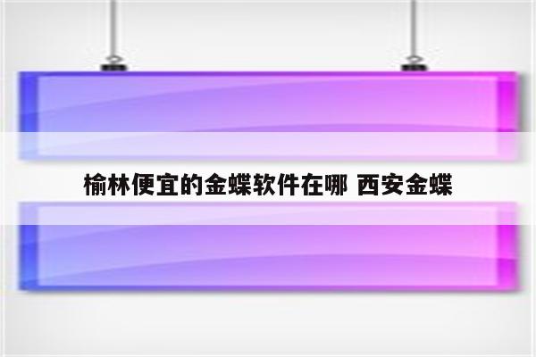榆林便宜的金蝶软件在哪 西安金蝶