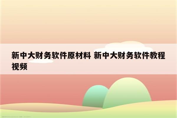 新中大财务软件原材料 新中大财务软件教程视频