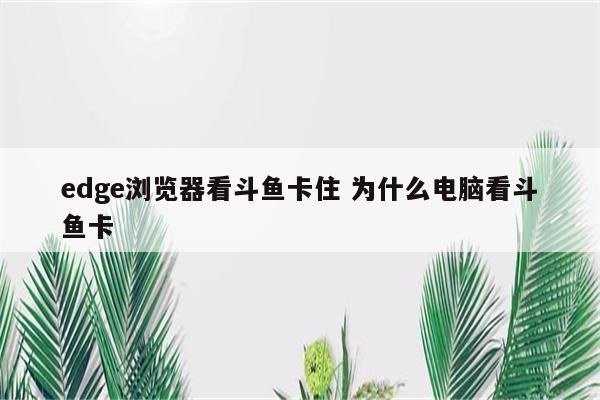 edge浏览器看斗鱼卡住 为什么电脑看斗鱼卡