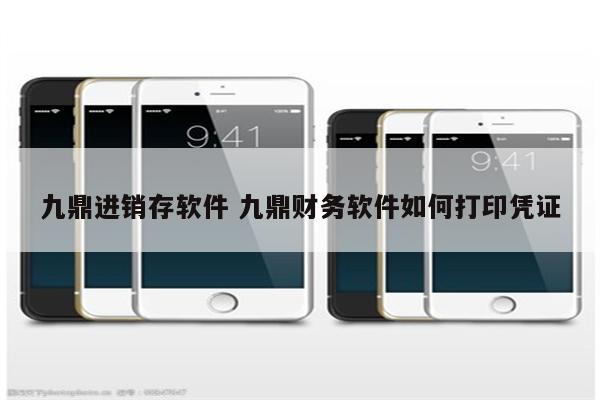 九鼎进销存软件 九鼎财务软件如何打印凭证