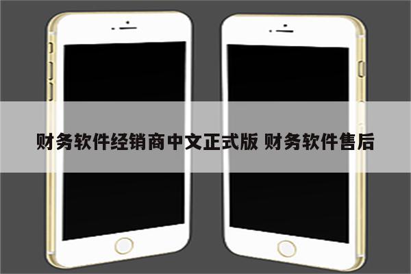 财务软件经销商中文正式版 财务软件售后