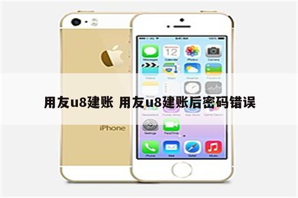 用友u8建账 用友u8建账后密码错误