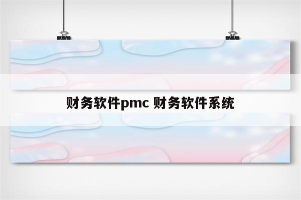 财务软件pmc 财务软件系统