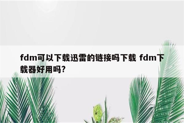 fdm可以下载迅雷的链接吗下载 fdm下载器好用吗?