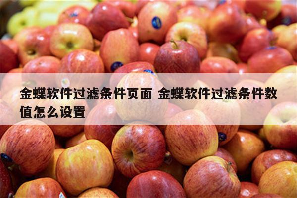 金蝶软件过滤条件页面 金蝶软件过滤条件数值怎么设置