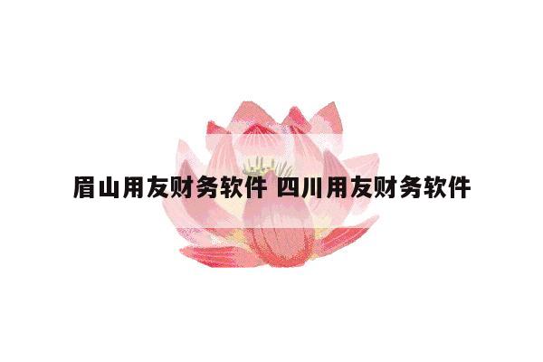眉山用友财务软件 四川用友财务软件