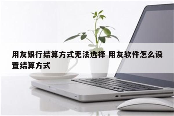 用友银行结算方式无法选择 用友软件怎么设置结算方式