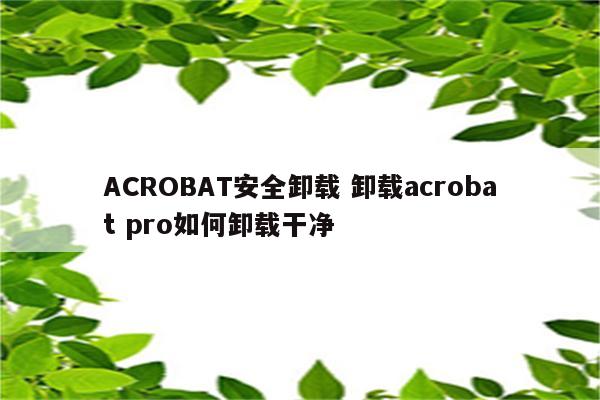 ACROBAT安全卸载 卸载acrobat pro如何卸载干净