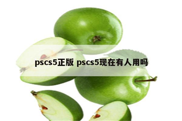 pscs5正版 pscs5现在有人用吗