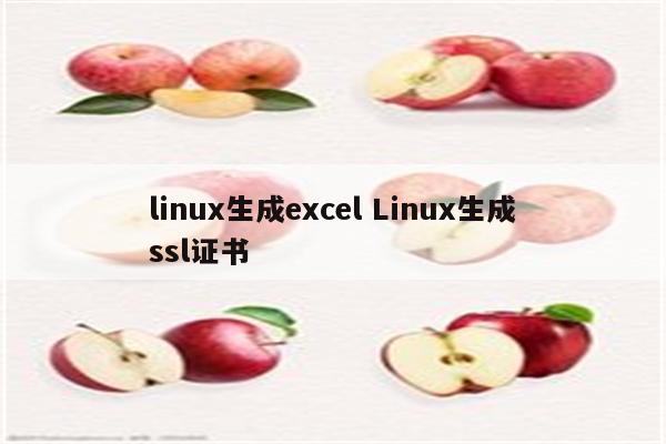 linux生成excel Linux生成ssl证书