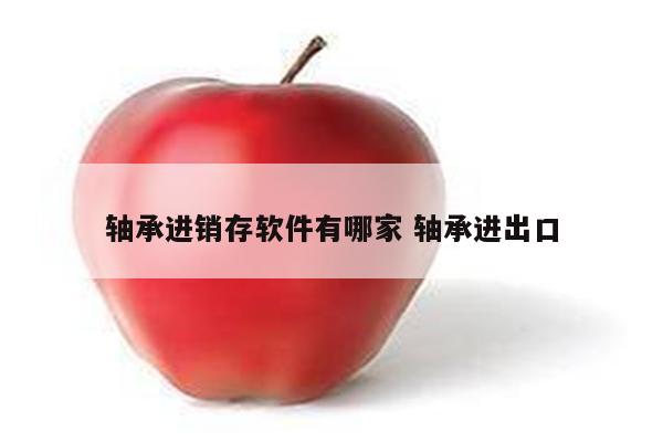 轴承进销存软件有哪家 轴承进出口