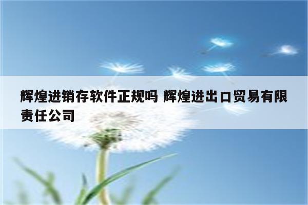 辉煌进销存软件正规吗 辉煌进出口贸易有限责任公司