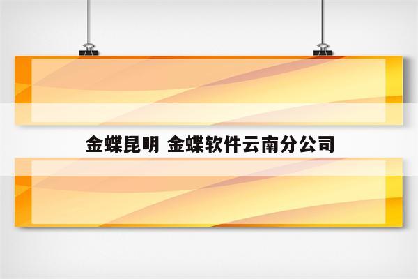 金蝶昆明 金蝶软件云南分公司