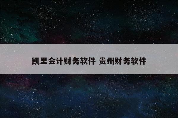 凯里会计财务软件 贵州财务软件