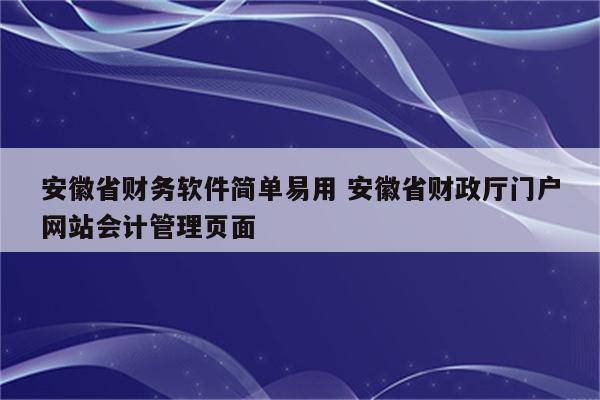 安徽省财务软件简单易用 安徽省财政厅门户网站会计管理页面