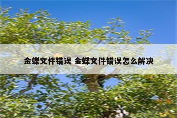 金蝶文件错误 金蝶文件错误怎么解决