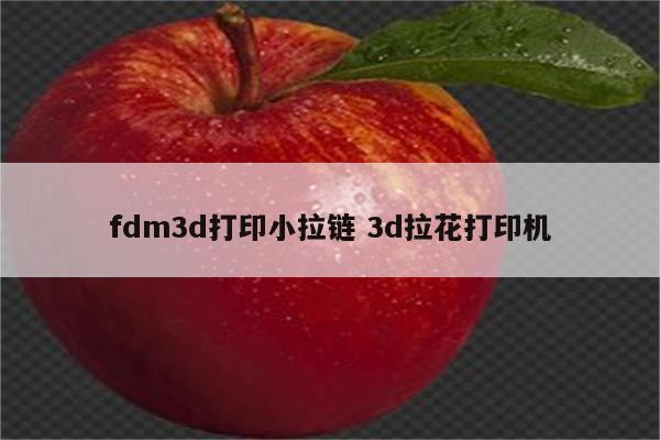 fdm3d打印小拉链 3d拉花打印机