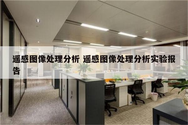 遥感图像处理分析 遥感图像处理分析实验报告