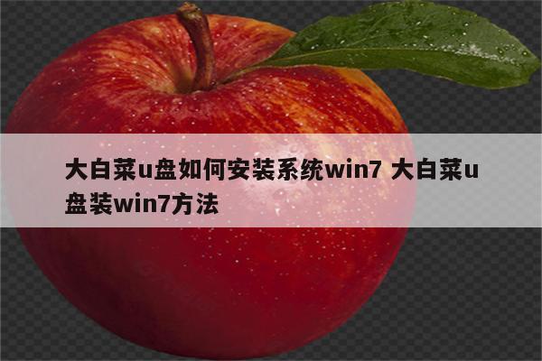 大白菜u盘如何安装系统win7 大白菜u盘装win7方法