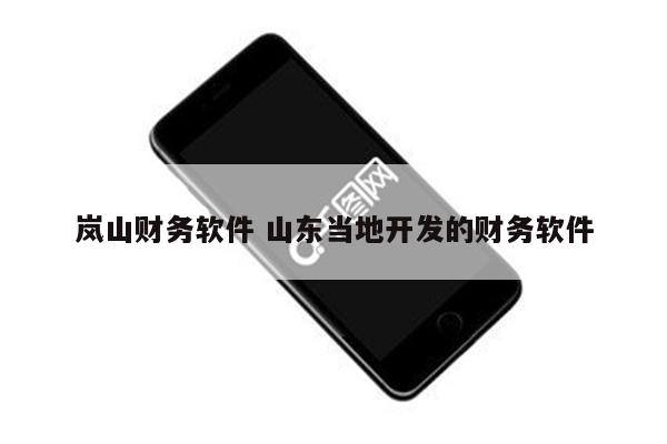 岚山财务软件 山东当地开发的财务软件