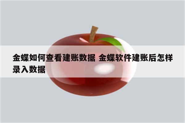 金蝶如何查看建账数据 金蝶软件建账后怎样录入数据