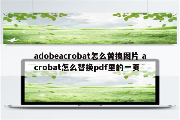 adobeacrobat怎么替换图片 acrobat怎么替换pdf里的一页