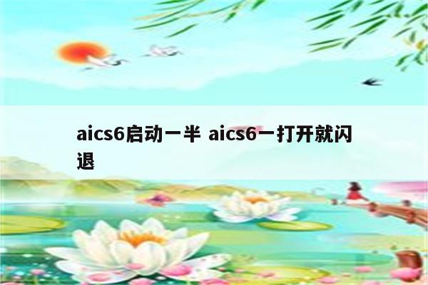 aics6启动一半 aics6一打开就闪退