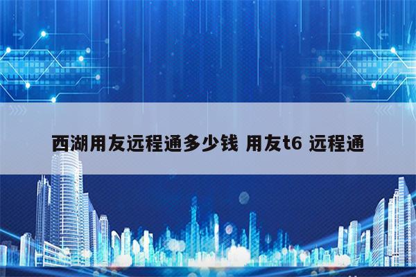 西湖用友远程通多少钱 用友t6 远程通