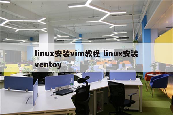 linux安装vim教程 linux安装ventoy