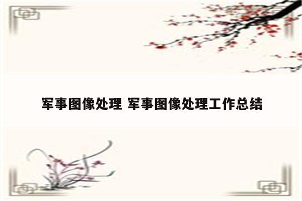 军事图像处理 军事图像处理工作总结