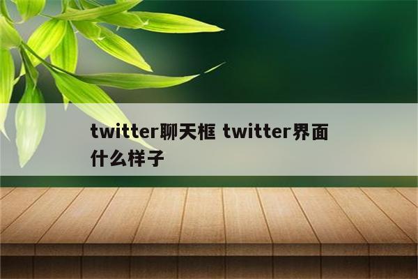 twitter聊天框 twitter界面什么样子