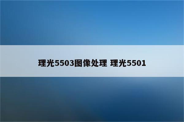 理光5503图像处理 理光5501