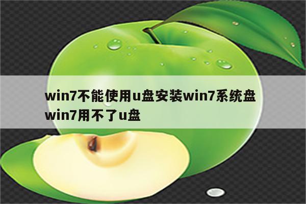 win7不能使用u盘安装win7系统盘 win7用不了u盘