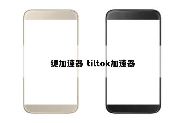 缇加速器 tiltok加速器