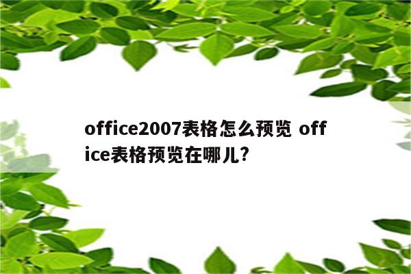 office2007表格怎么预览 office表格预览在哪儿?