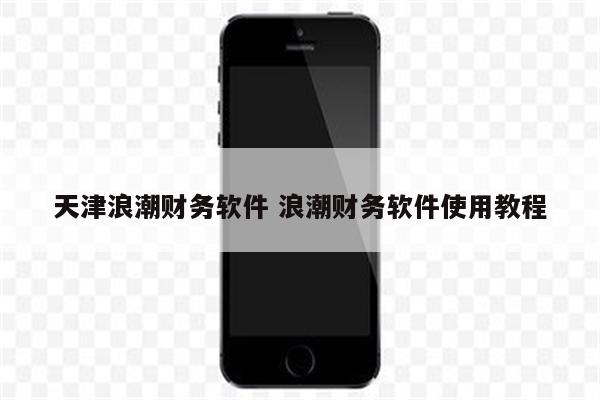 天津浪潮财务软件 浪潮财务软件使用教程